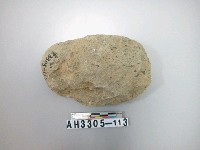 藏品(中型舌刃打製石斧)的圖片